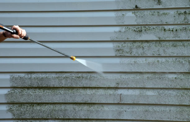 Professional Pressure Washing Services in Leland Grove, IL
