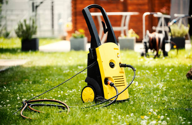 Best Pre-Holiday Cleaning  in Leland Grove, IL
